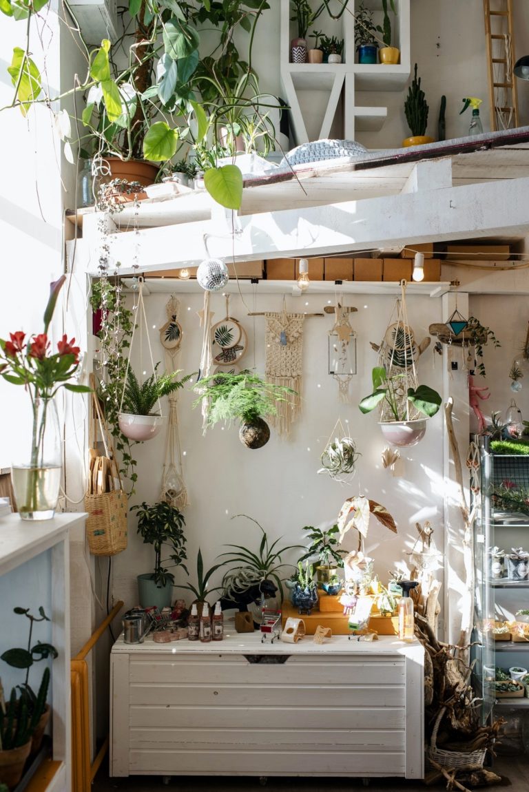 home interior with plants