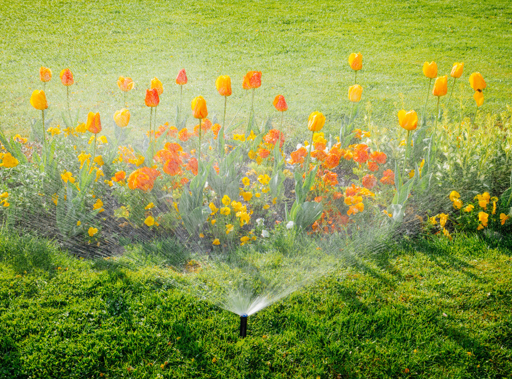 Waters sprinklers watering flowers in a lawn