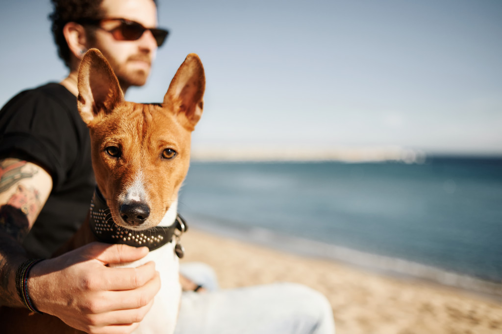 male dog owner sitting by the beach