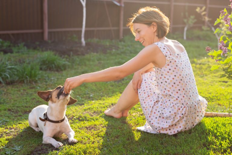 positive woman playing with lovely dog in front yard of home