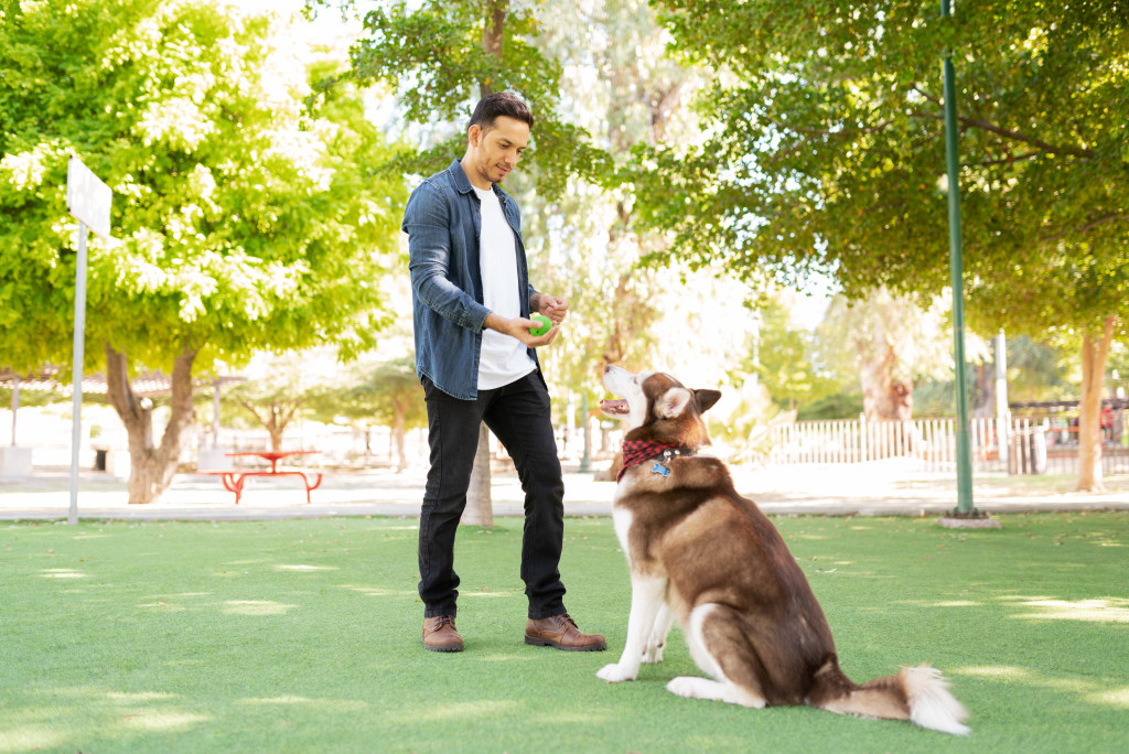A man training his dog at a park