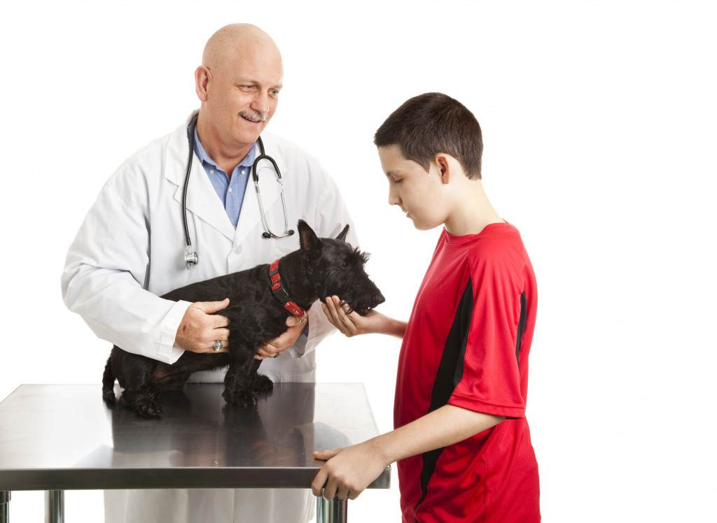A teen boy bringing his dog to a vet